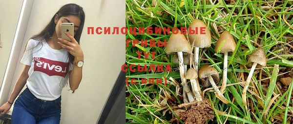 винт Верея