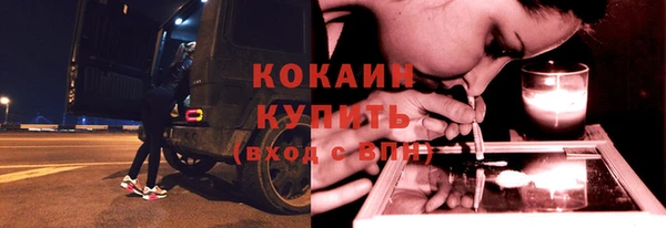 винт Верея