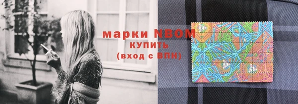 крисы Верхний Тагил