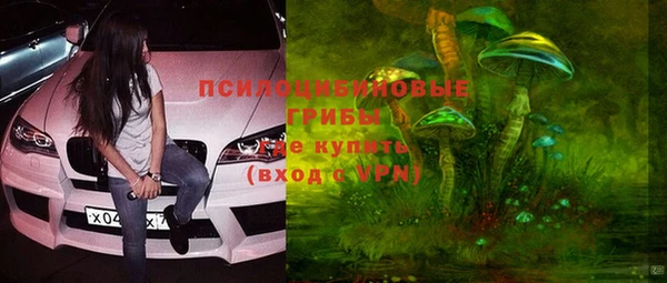 винт Верея