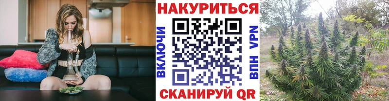 где продают   Волгореченск  Бошки марихуана тримм 